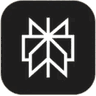 Perplexity logo